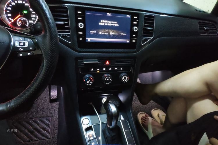 Volkswagen Golf 2019 car image #15