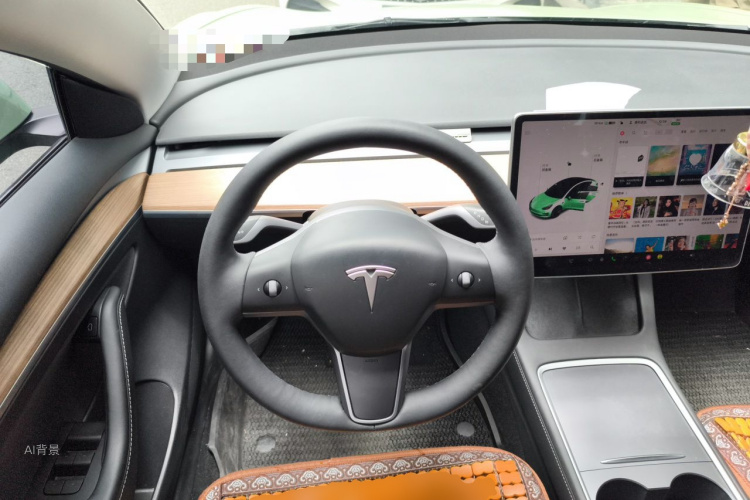 Tesla Model 3 2021 car image #12