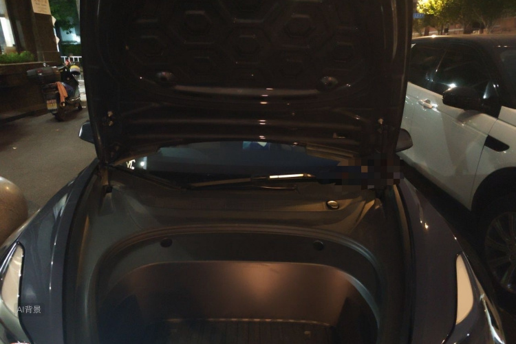 Tesla Model 3 2021 car image #22