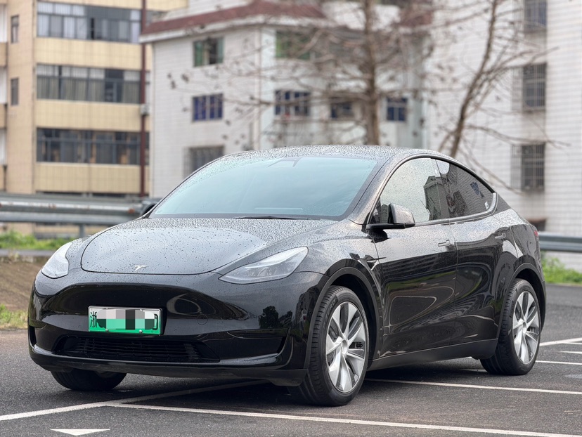 Tesla Model Y 2022 Tesla Model Y 2022 car image
