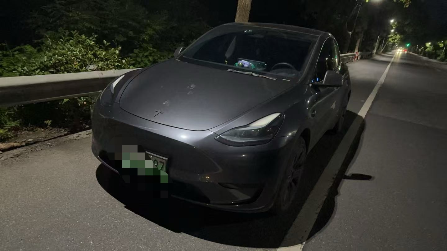 Tesla Model Y 2024 Tesla Model Y 2024 car image