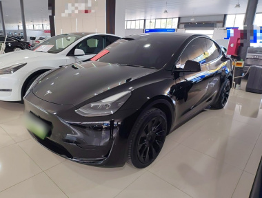 Tesla Model Y 2022 Tesla Model Y 2022 imagen de coche