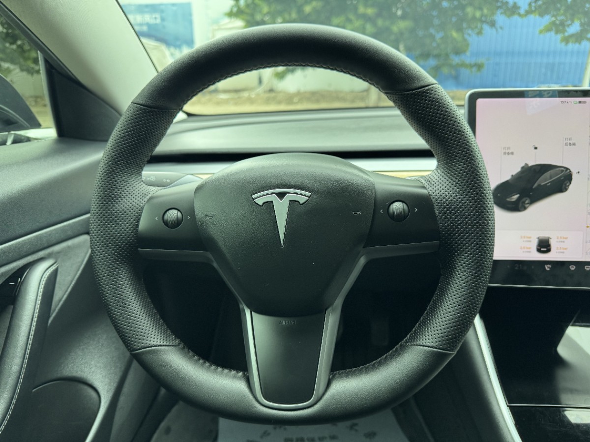 Tesla Model 3 2021 #9 Tesla Model 3 2021 car image #9