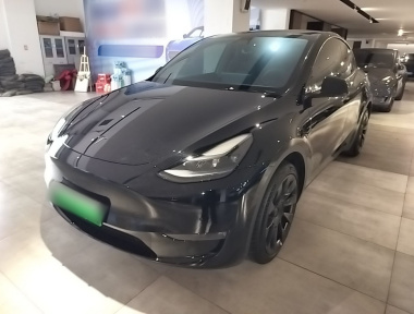 Tesla Model Y 2023 car image 