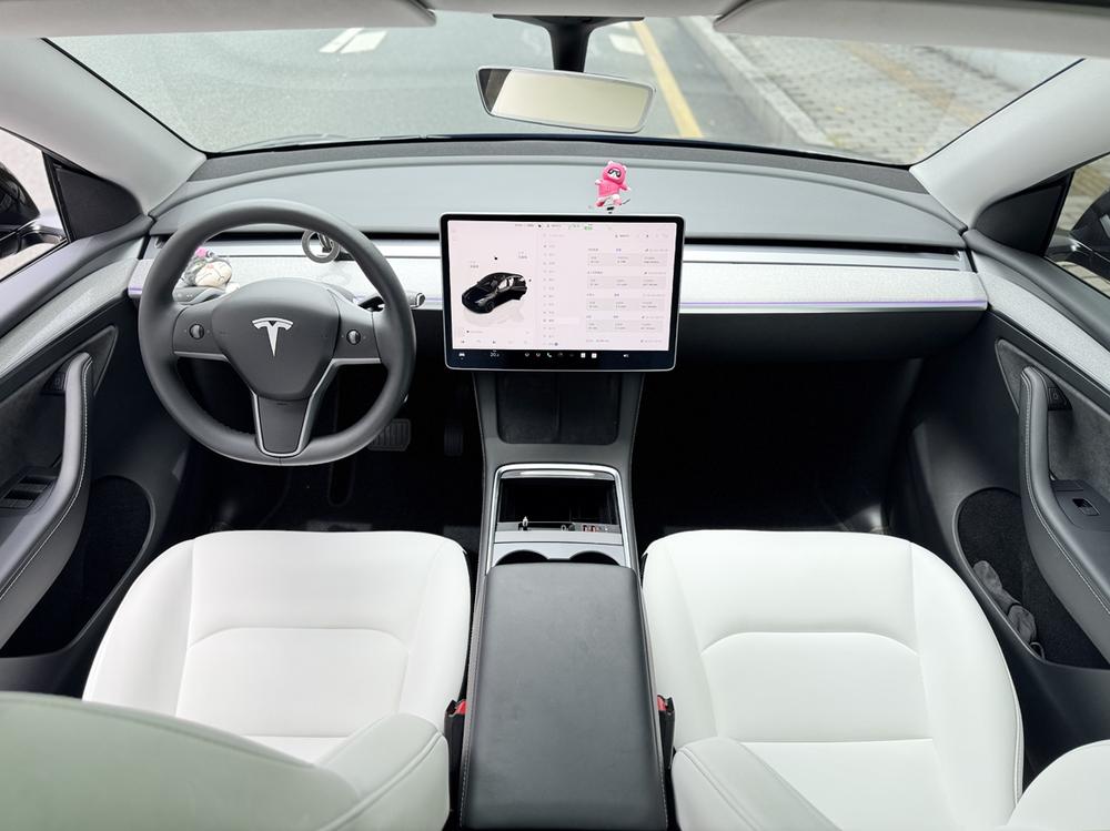 Tesla Model Y 2023 car image #13