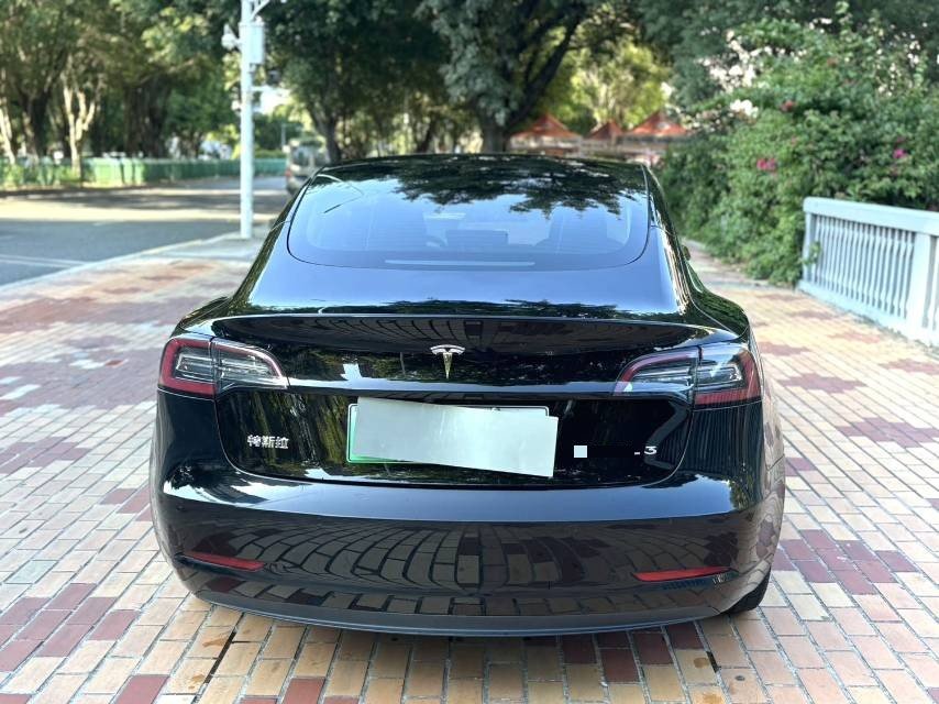 Tesla Model 3 2021 #8 Tesla Model 3 2021 изображение автомобиля #8