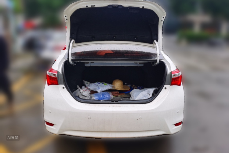 Toyota Corolla 2017 car image #21