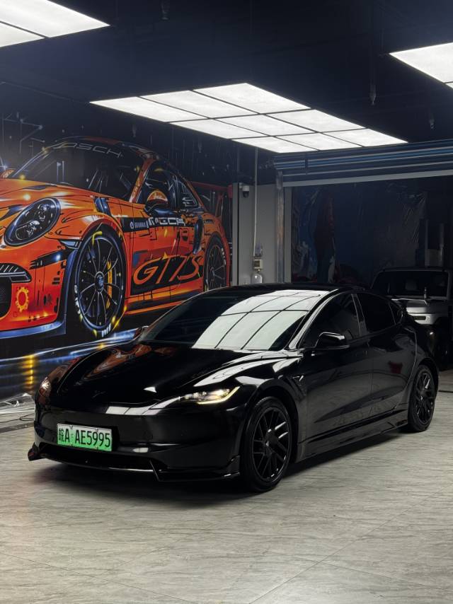 Tesla Model 3 2024 car image 