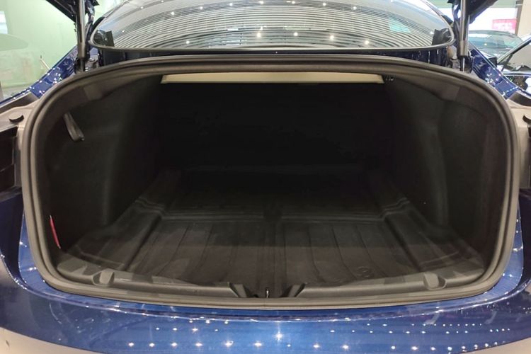 Tesla Model 3 2020 car image #21
