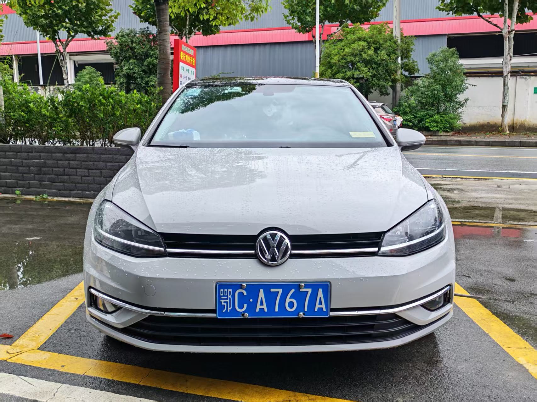 Volkswagen Golf 2019 immagine di auto #2