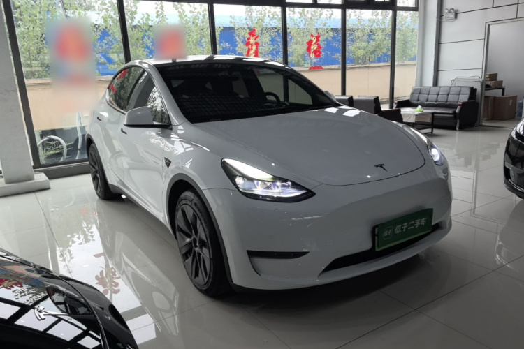 Tesla Model Y 2021 car image #4