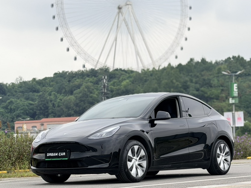 Tesla Model Y 2022 car image 