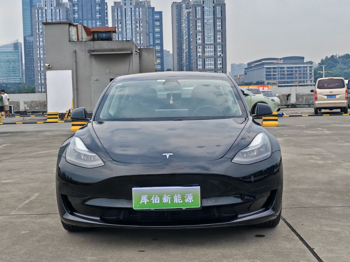 Tesla Model 3 2021 #3 Tesla Model 3 2021 car image #3