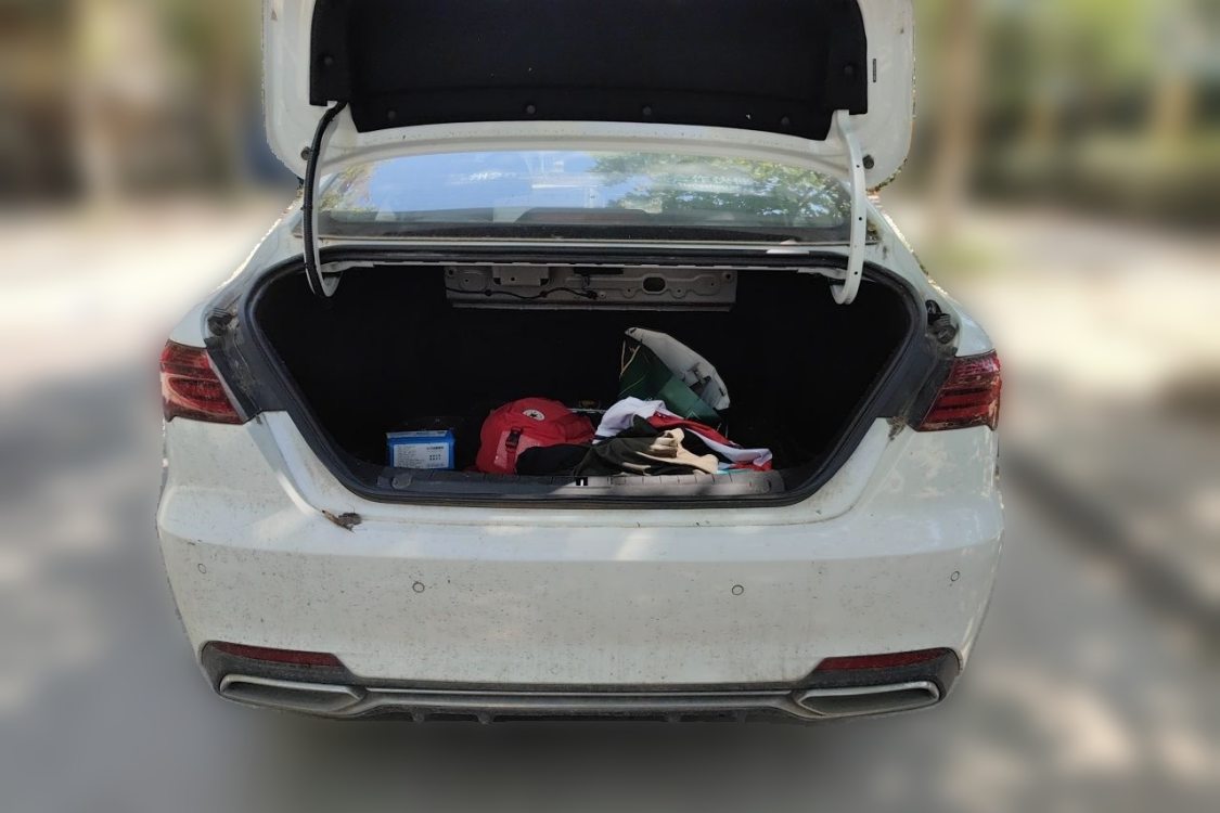 GEELY Binray 2020 #8 GEELY Binray 2020 immagine di auto #8