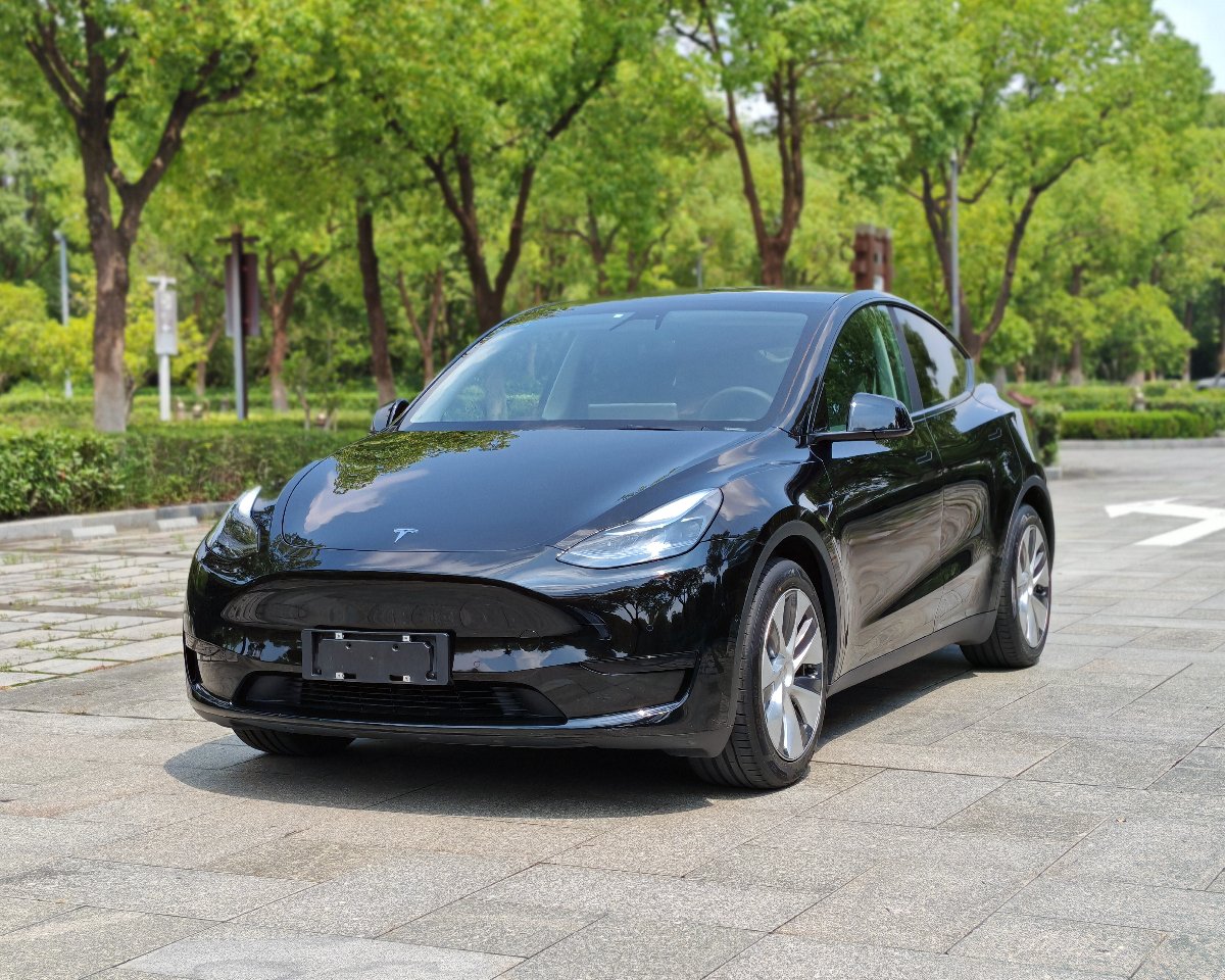 Tesla Model Y 2022 Tesla Model Y 2022 car image
