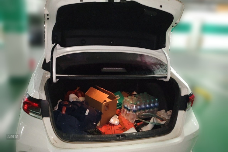 Toyota Corolla 2019 #21 Toyota Corolla 2019 car image #21