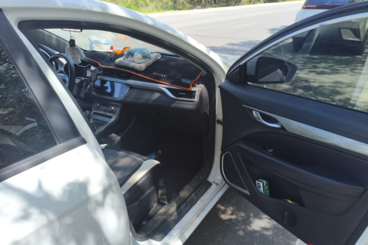 GEELY Emgrand 2020 #27 GEELY Emgrand 2020 car image #27
