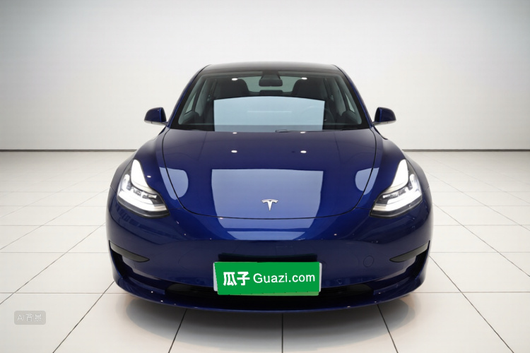 Tesla Model 3 2020 #3 Tesla Model 3 2020 car image #3