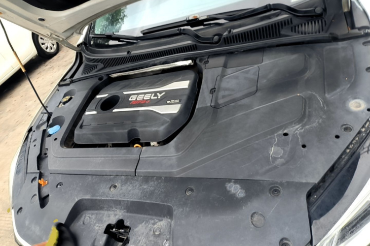 GEELY Binray 2019 #20 GEELY Binray 2019 immagine di auto #20