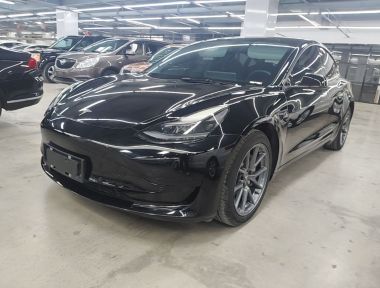 Tesla Model 3 2021 Tesla Model 3 2021 immagine di auto