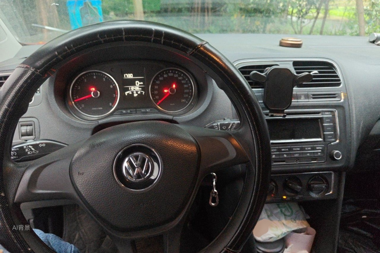 Volkswagen Polo 2015 car image #11
