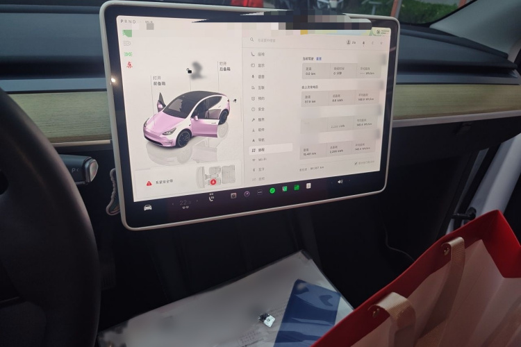 Tesla Model Y 2022 #17 Tesla Model Y 2022 car image #17