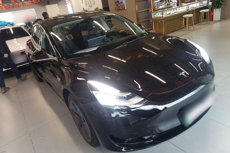 Tesla Model 3 2021 #4 Tesla Model 3 2021 car image #4