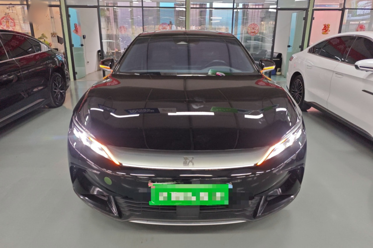 BYD Han 2022 imagen de coche #3