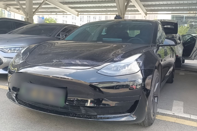 Tesla Model 3 2021 car image #2
