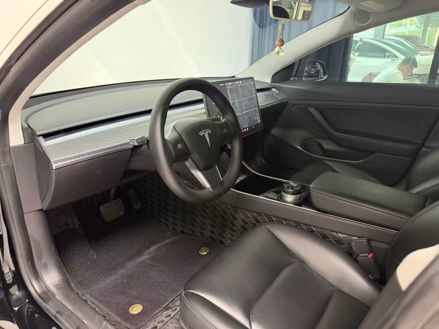 Tesla Model 3 2020 car image #4