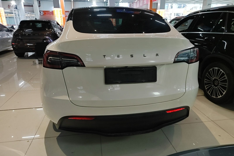 Tesla Model Y 2021 #6 Tesla Model Y 2021 car image #6