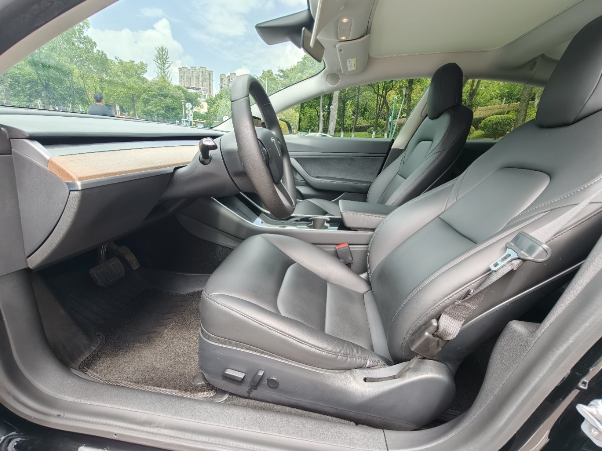 Tesla Model 3 2020 car image #9