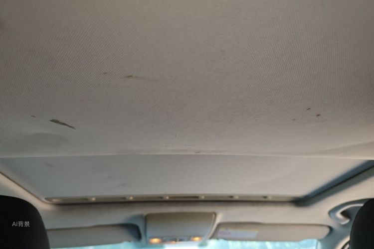 Volkswagen Lavida 2016 car image #20