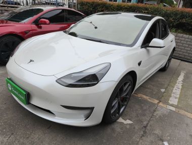 Tesla Model 3 2022 Tesla Model 3 2022 car image