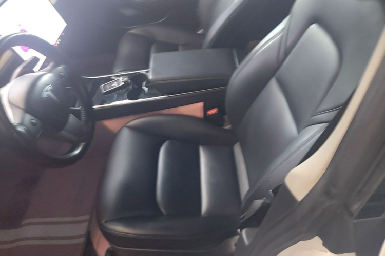 Tesla Model 3 2020 car image #15