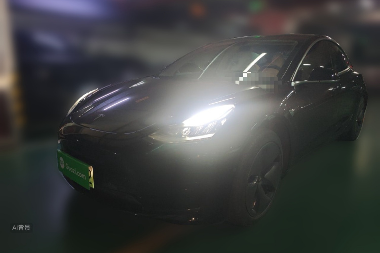 Tesla Model 3 2020 car image #2
