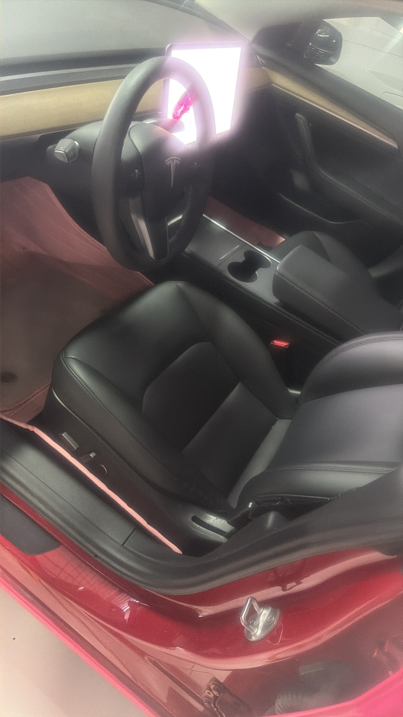 Tesla Model 3 2021 #5 Tesla Model 3 2021 car image #5