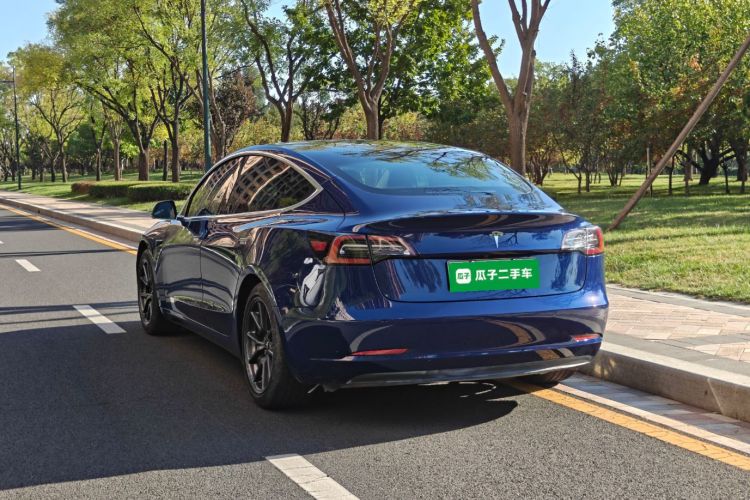 Tesla Model 3 2020 car image #5