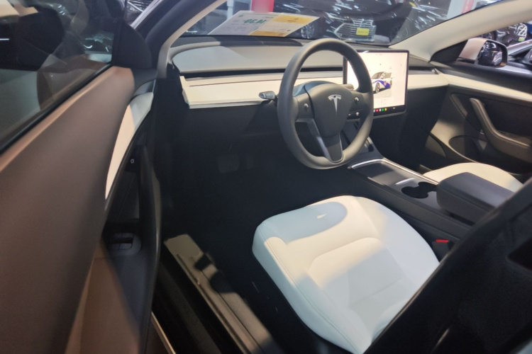 Tesla Model 3 2022 imagem de carro #16