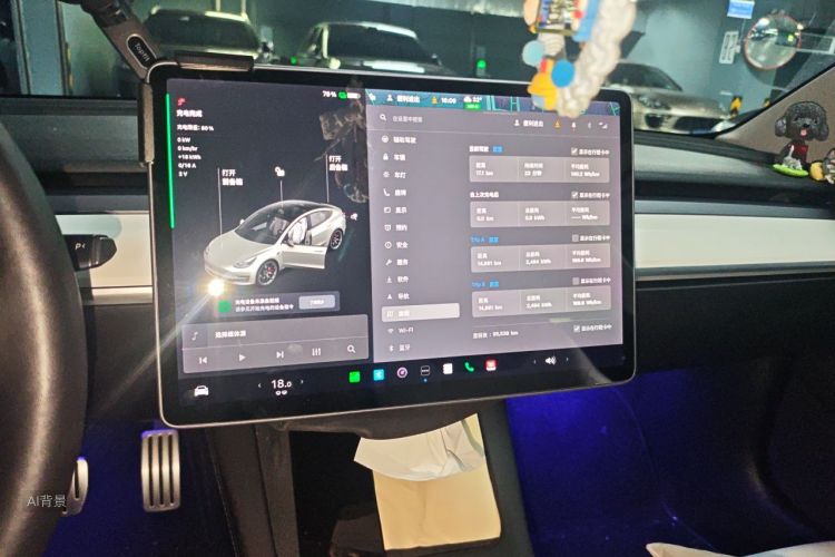 Tesla Model 3 2021 #13 Tesla Model 3 2021 car image #13