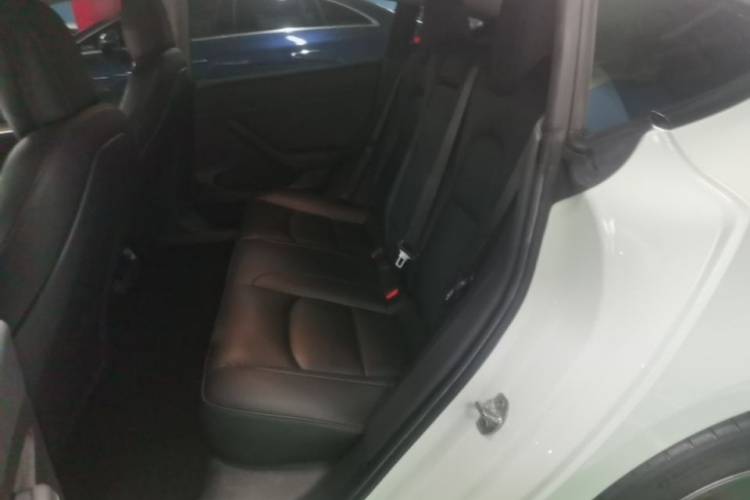Tesla Model 3 2021 #17 Tesla Model 3 2021 car image #17