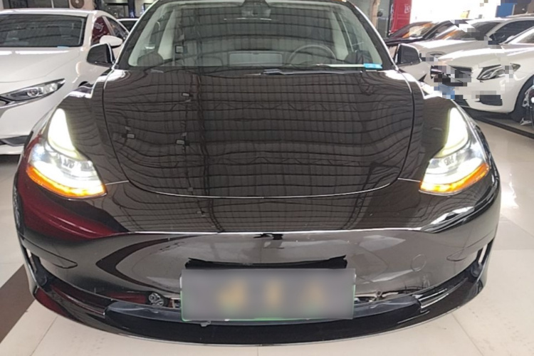 Tesla Model 3 2021 #3 Tesla Model 3 2021 car image #3