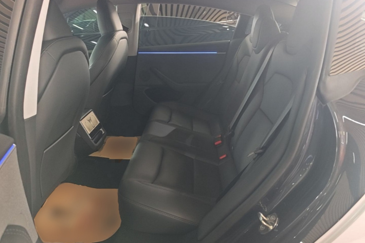 Tesla Model 3 2024 #13 Tesla Model 3 2024 car image #13
