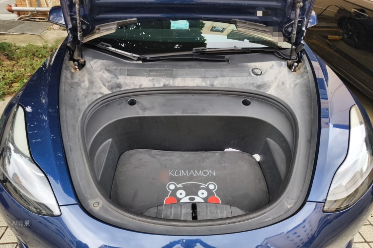 Tesla Model 3 2021 #22 Tesla Model 3 2021 car image #22