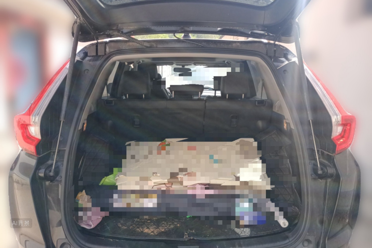 Honda CR-V 2019 imagem de carro #21