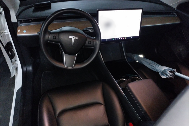 Tesla Model 3 2020 #12 Tesla Model 3 2020 صورة سيارة #12