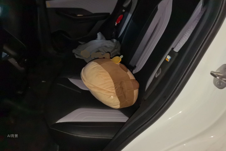 GEELY Coolray 2023 imagen de coche #19