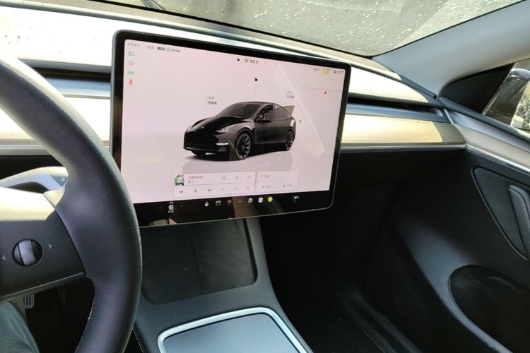 Tesla Model Y 2023 car image #13