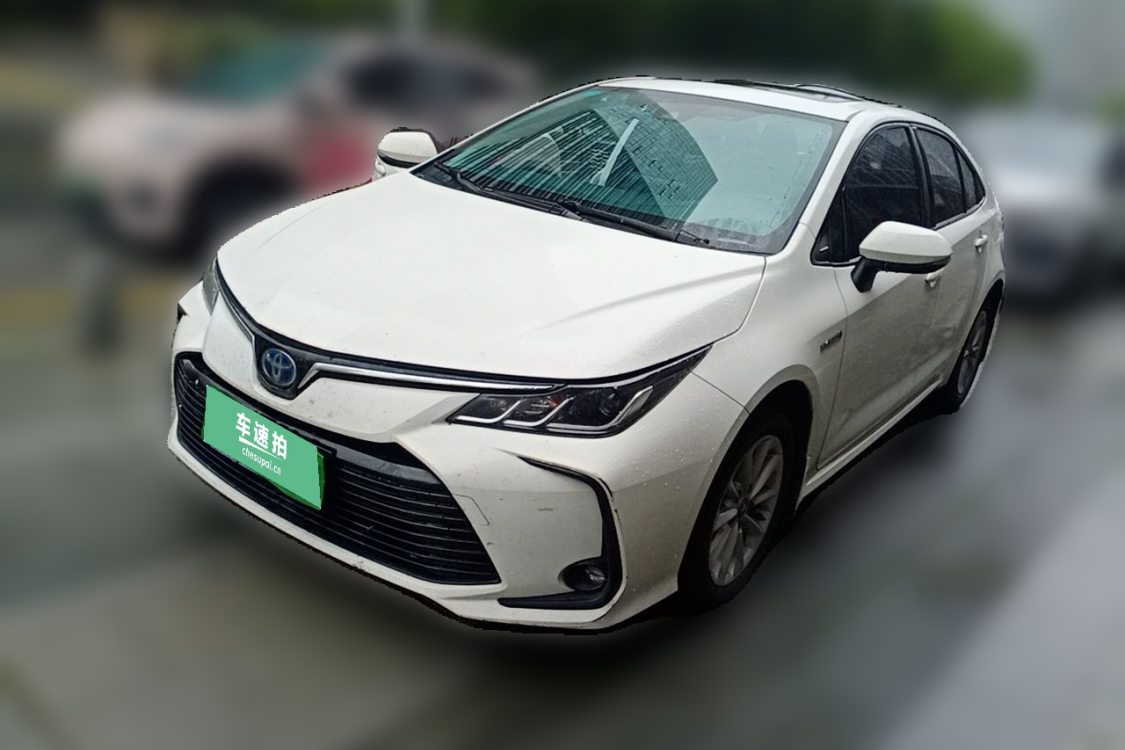Toyota Corolla 2019 Toyota Corolla 2019 car image