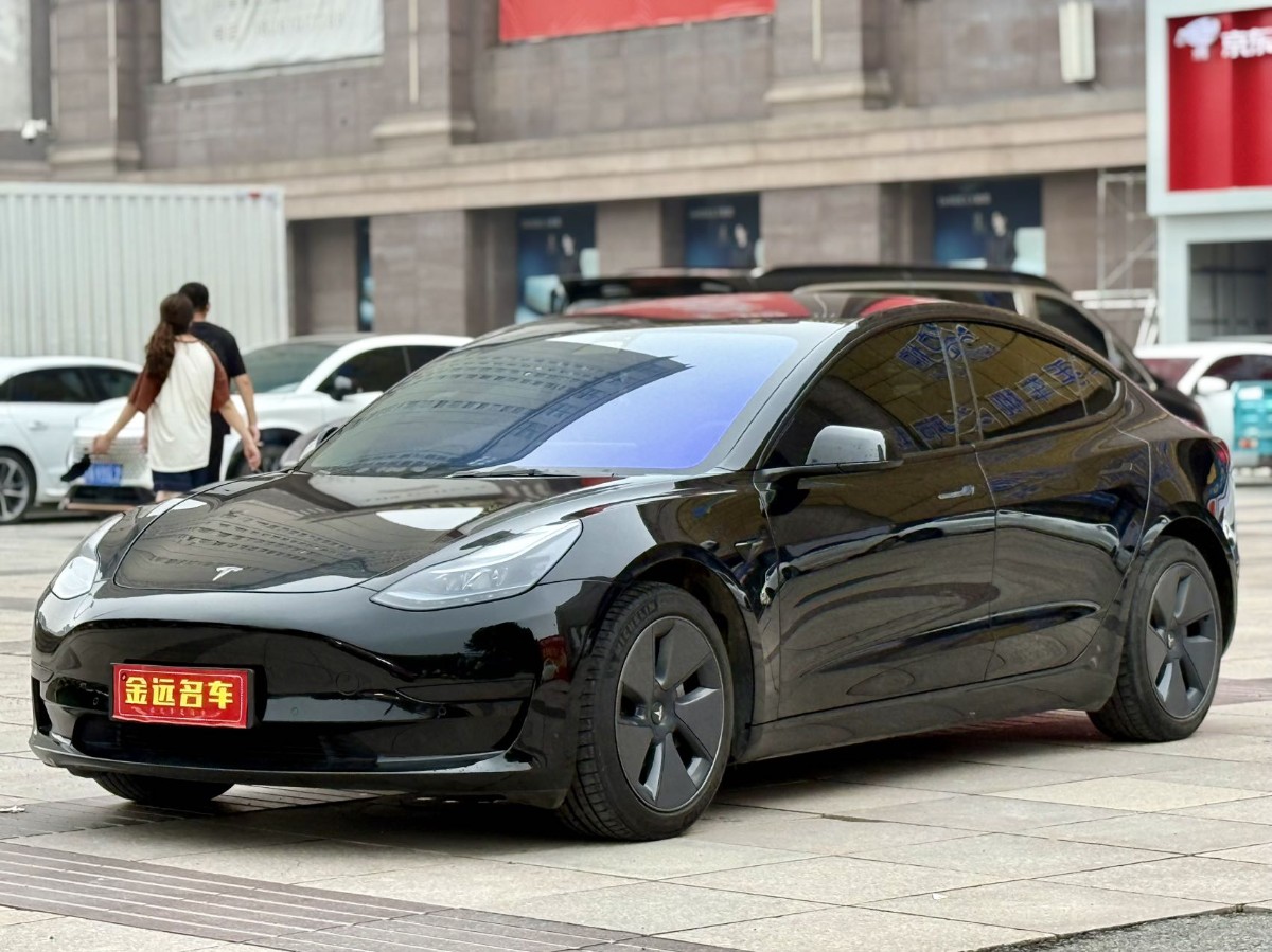 Tesla Model 3 2021 car image 
